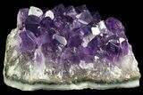 Purple Amethyst Cluster - Uruguay #76715-1